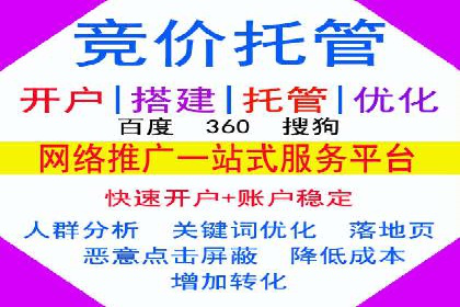 行业领先企业的网络推广与竞价经验
